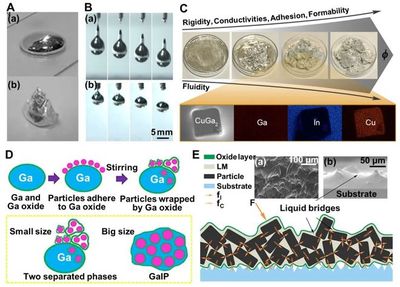 理化所劉靜研究員/武漢紡織大學呂永鋼教授《AFM》綜述:低熔點合金剛度可調先進材料與復合材料
