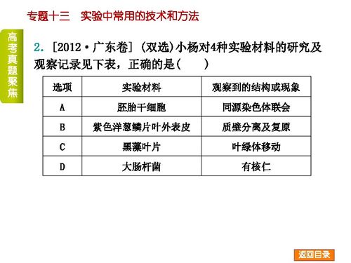 2014屆高考生物二輪復(fù)習(xí)專題十三 實驗中常用的技術(shù)