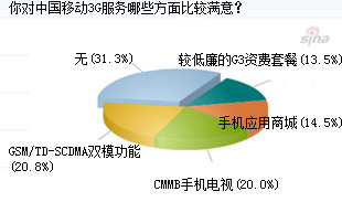 2009-2010年中國(guó)3G用戶網(wǎng)絡(luò)調(diào)查報(bào)告 投資策略、分析預(yù)測(cè)及市場(chǎng)調(diào)研
