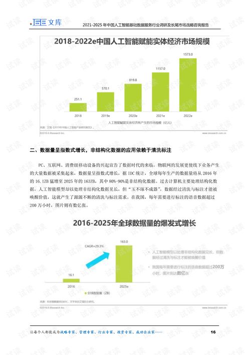 2021-2025年中國人工智能基礎數(shù)據(jù)服務行業(yè)調(diào)研及長尾市場戰(zhàn)略報告